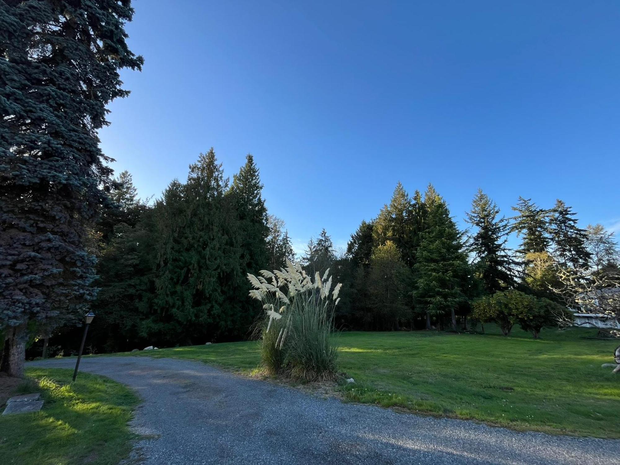 Modern Studio In Marysville A Forest Haven Exterior foto